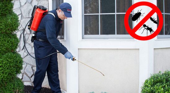 Kargı Hamam Böceği İlaçlama böcek ilaçlama ve haşere kontrolü — ilaclama-tr.com
